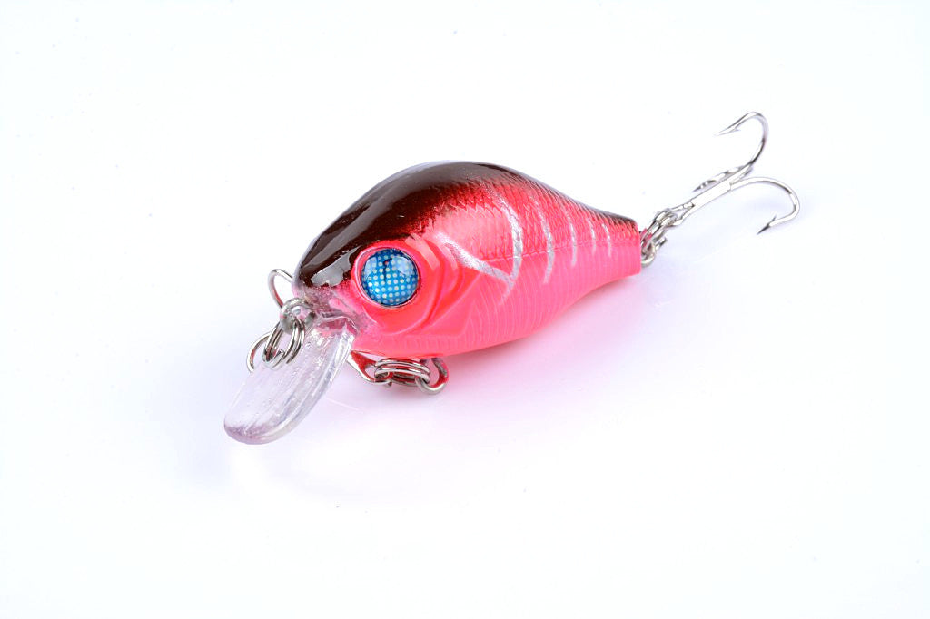 Five colorful 5.5cm Popper Crank Bait Fishing Lures displayed together, showcasing their realistic fish patterns and sharp hooks.