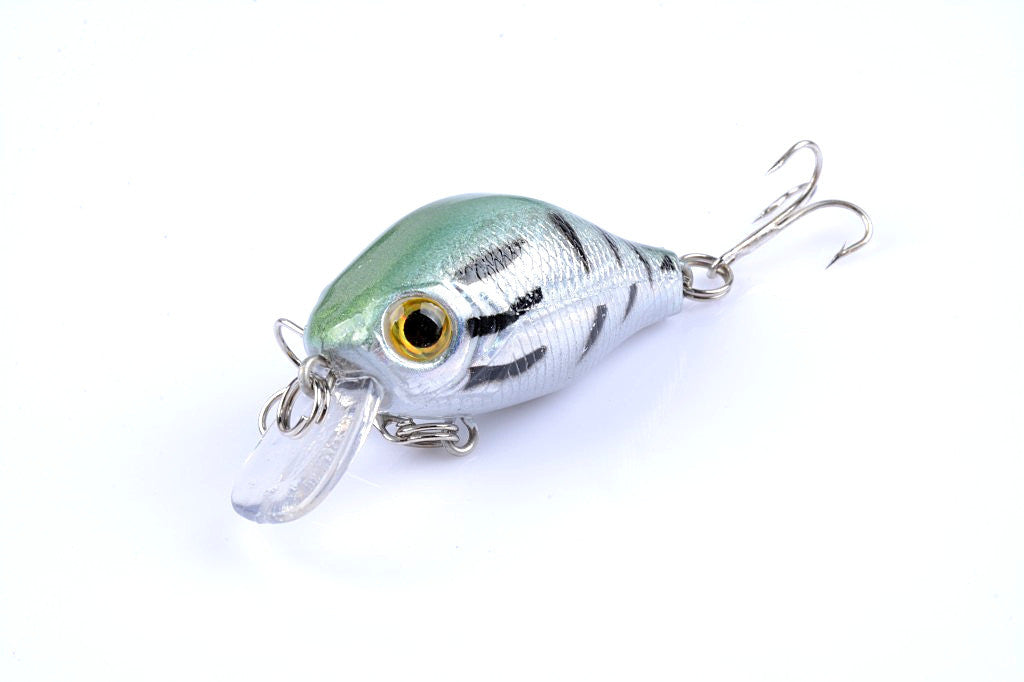 Five colorful 5.5cm Popper Crank Bait Fishing Lures displayed together, showcasing their realistic fish patterns and sharp hooks.