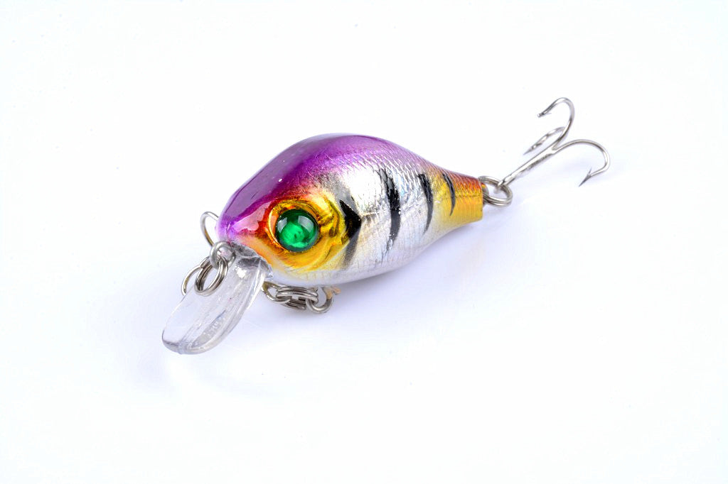 Five colorful 5.5cm Popper Crank Bait Fishing Lures displayed together, showcasing their realistic fish patterns and sharp hooks.