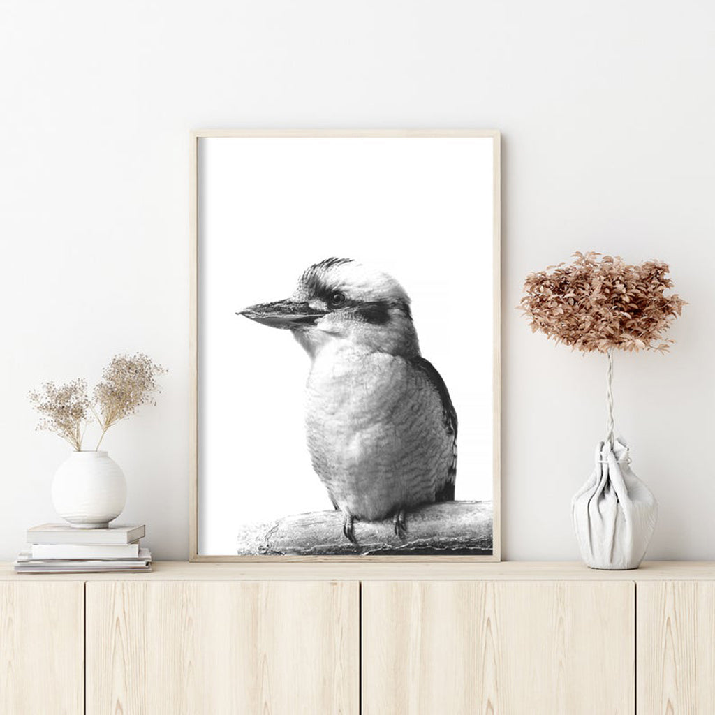 60cmx90cm Kookaburra canvas wall art in a black frame, showcasing vibrant colors and a floating effect.