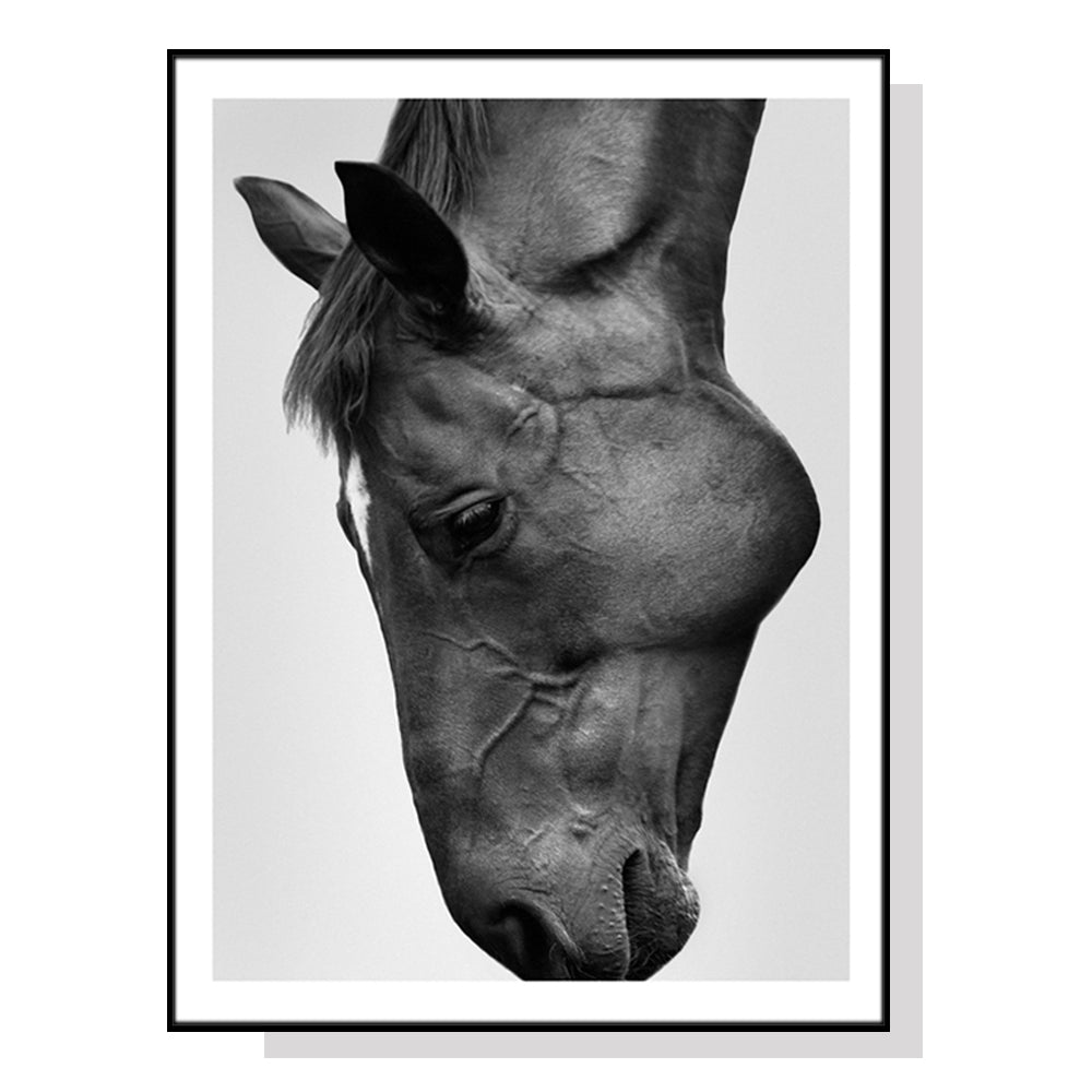 A modern black horse canvas wall art framed in a sleek black frame, showcasing elegant design and premium quality.