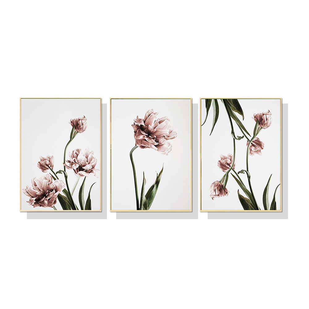 60cmx90cm Tulip Flower Canvas Wall Art in a gold floating frame, showcasing vibrant tulip prints.