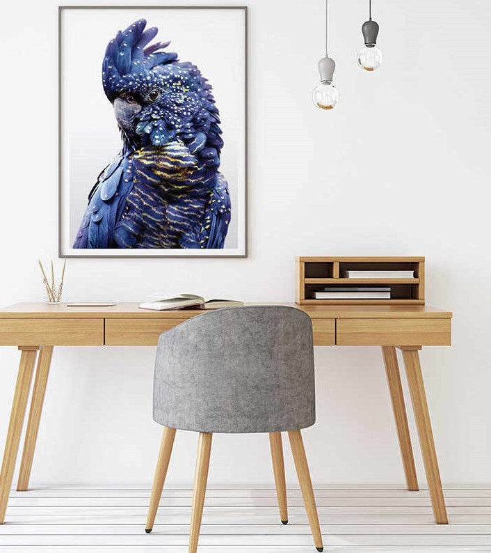 70cmx100cm Black Cockatoo canvas wall art framed in a black floating frame, showcasing vibrant colors and intricate details.