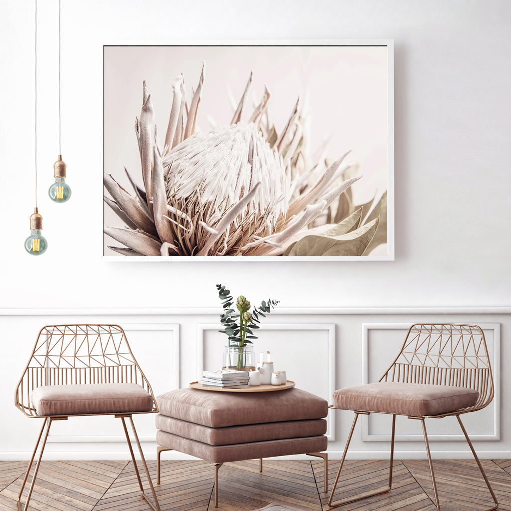 80cmx120cm Pure Protea II canvas wall art in a white floating frame, showcasing vibrant floral design.