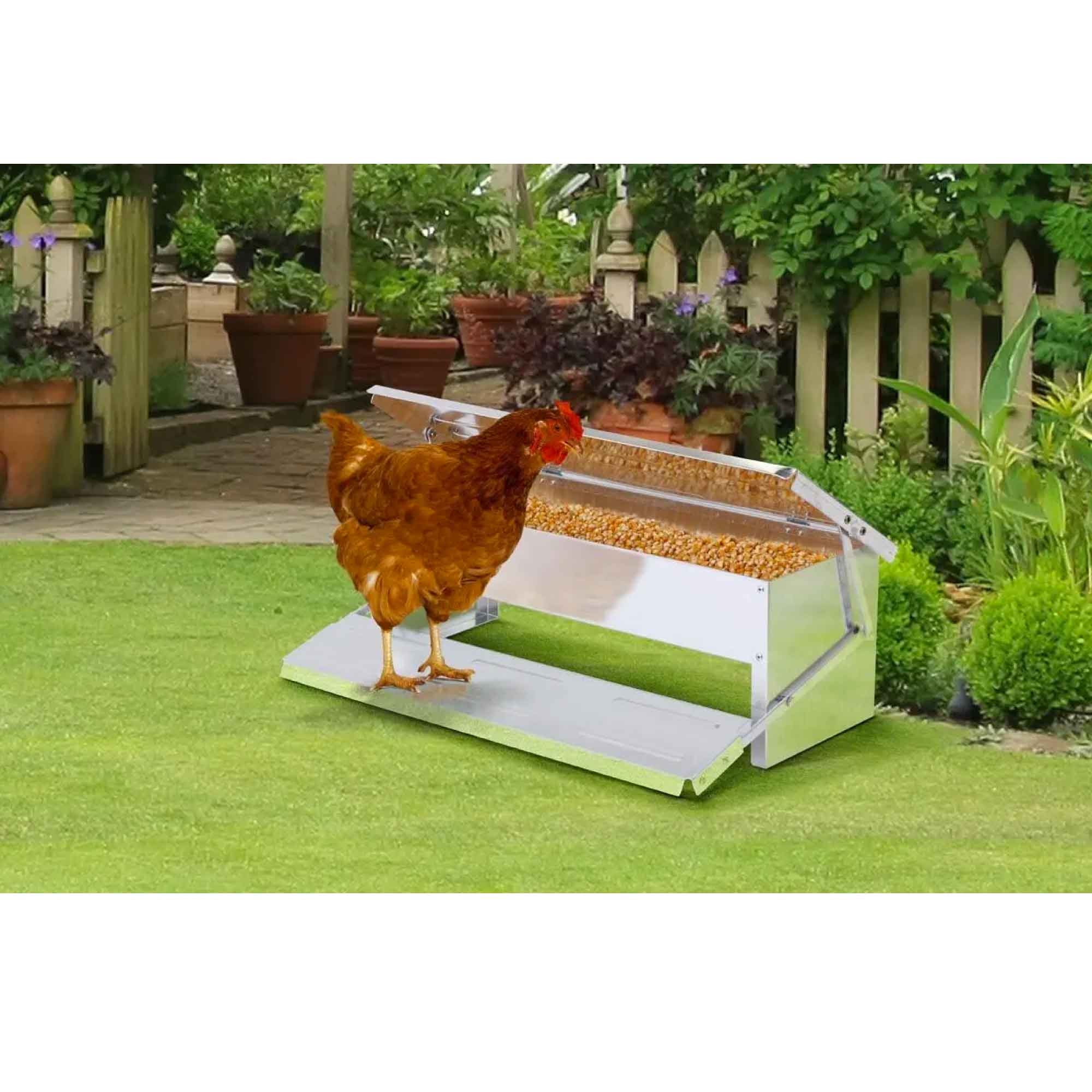 8L Automatic Chook Chicken Feeder made of rust-proof aluminium, featuring a treadle mechanism for self-feeding chickens.