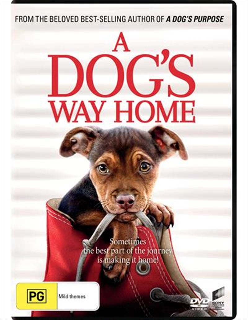 A Dog's Way Home DVD cover featuring a female dog in a scenic Colorado landscape, symbolizing adventure and loyalty.