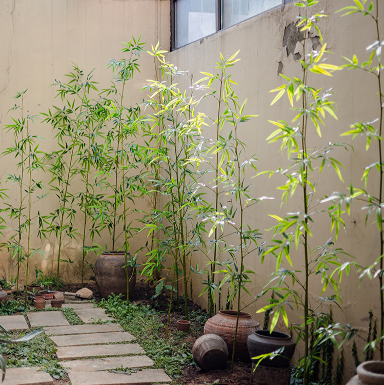 Set of 10 artificial bamboo stems in vibrant green, showcasing realistic design and perfect for home or office decor.