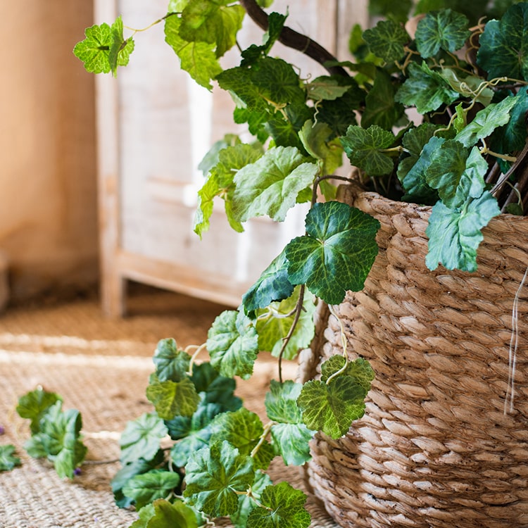 A long, lush artificial coral bells plant vine, 71 inches in length, featuring vibrant green leaves and delicate blooms, perfect for home decor.