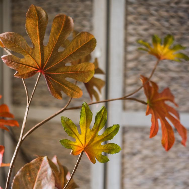 32-inch tall Artificial Fatsia Leaf in vibrant autumn red, showcasing realistic leaves and mixed colors, perfect for home decor.