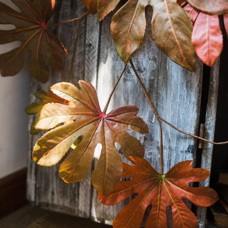 32-inch tall Artificial Fatsia Leaf in vibrant autumn red, showcasing realistic leaves and mixed colors, perfect for home decor.