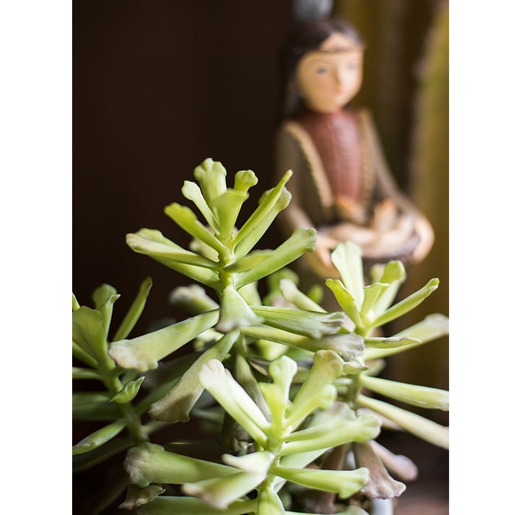 Artificial Faux Adromischus Succulent in a light gray pot, showcasing realistic green leaves and a stylish design.