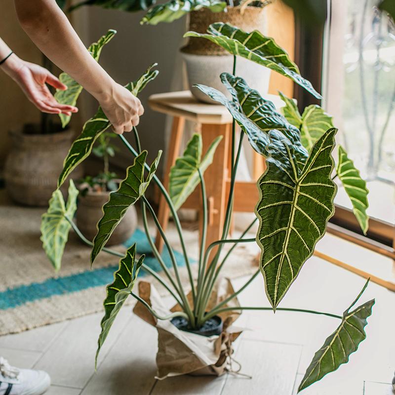 A 31-inch tall artificial Alocasia plant in a black pot, showcasing realistic green leaves and a vibrant appearance.