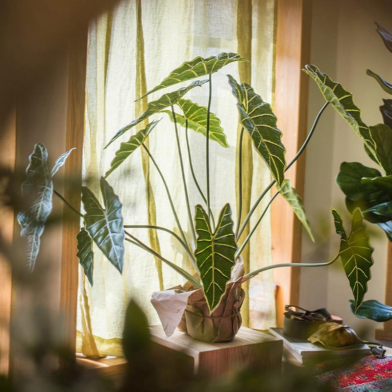 A 31-inch tall artificial Alocasia plant in a black pot, showcasing realistic green leaves and a vibrant appearance.