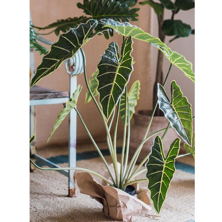 A 31-inch tall artificial Alocasia plant in a black pot, showcasing realistic green leaves and a vibrant appearance.