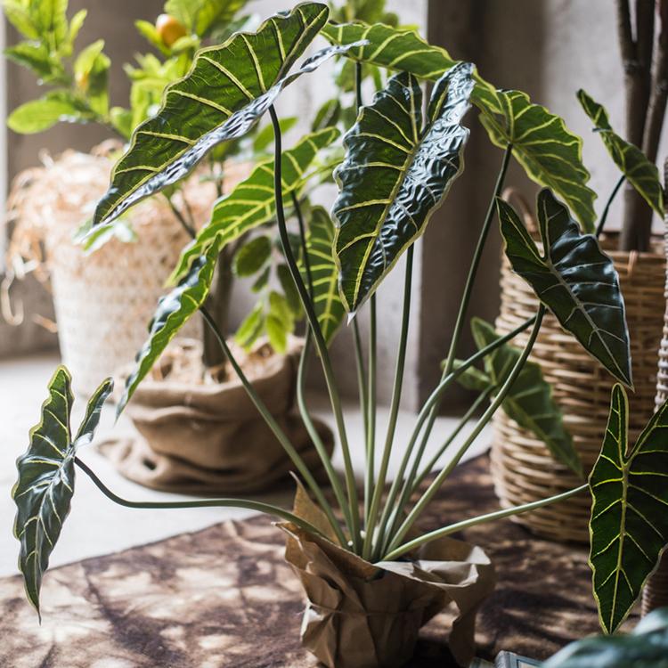 A 31-inch tall artificial Alocasia plant in a black pot, showcasing realistic green leaves and a vibrant appearance.