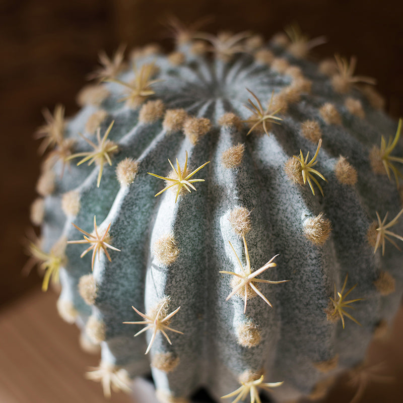 Artificial Faux Cactus Ball in a light gray pot, showcasing vibrant green colors and realistic texture.