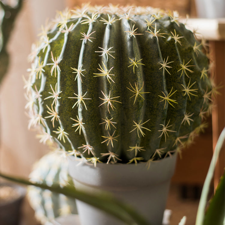 Artificial Faux Cactus Ball in a light gray pot, showcasing vibrant green colors and realistic texture.