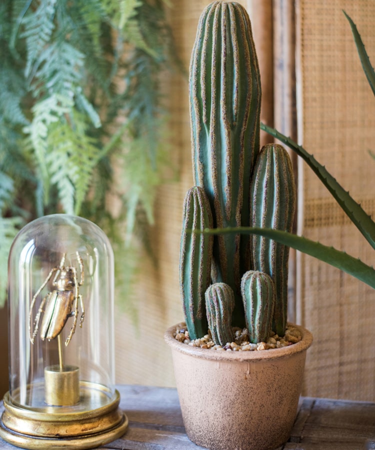 Artificial faux cactus in a brown pot, showcasing realistic green textures and earthy tones, perfect for home or office decor.