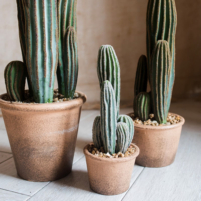 Artificial faux cactus in a brown pot, showcasing realistic green textures and earthy tones, perfect for home or office decor.