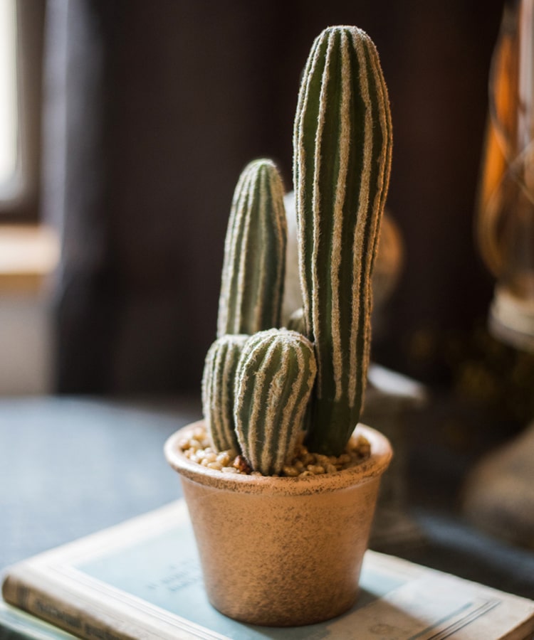 Artificial faux cactus in a brown pot, showcasing realistic green textures and earthy tones, perfect for home or office decor.