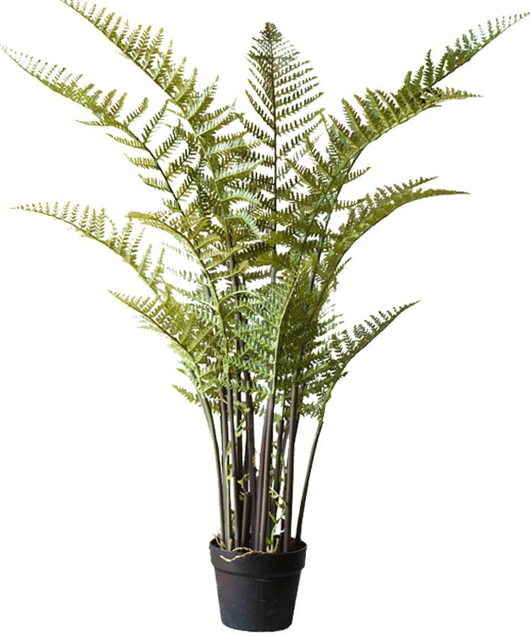 A realistic Artificial Faux Cyathea Tree in a decorative pot, showcasing lush green leaves and a sturdy base, perfect for home decor.