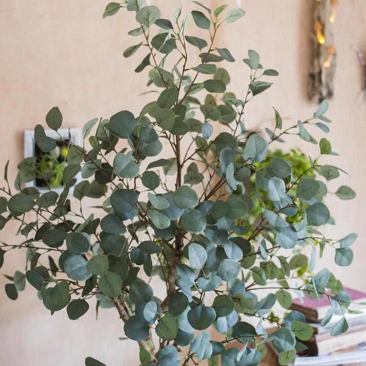 Artificial Faux Eucalyptus Tree in a black pot, showcasing realistic green leaves and a stylish design for home decor.