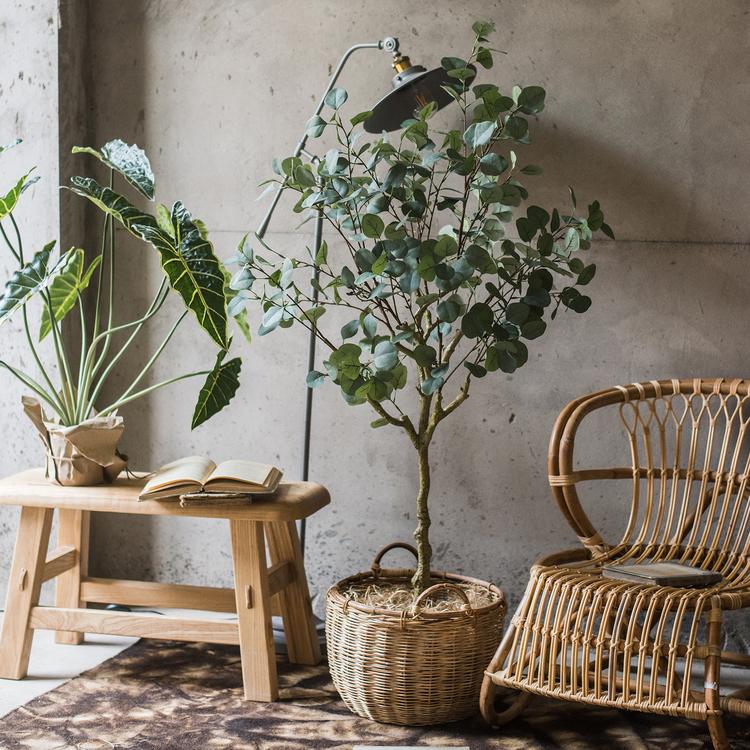 Artificial Faux Eucalyptus Tree in a black pot, showcasing realistic green leaves and a stylish design for home decor.