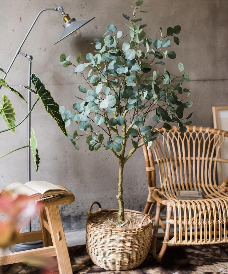 Artificial Faux Eucalyptus Tree in a black pot, showcasing realistic green leaves and a stylish design for home decor.