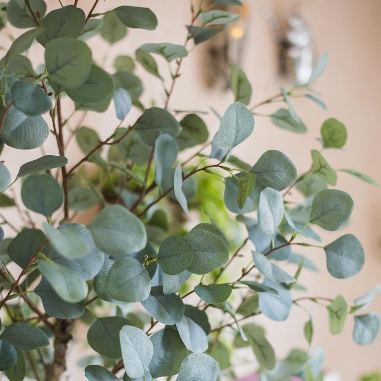 Artificial Faux Eucalyptus Tree in a black pot, showcasing realistic green leaves and a stylish design for home decor.