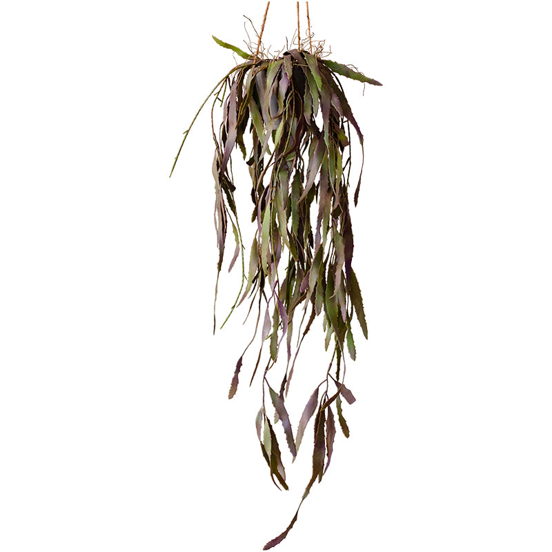 Hanging bunch of dried leaves.