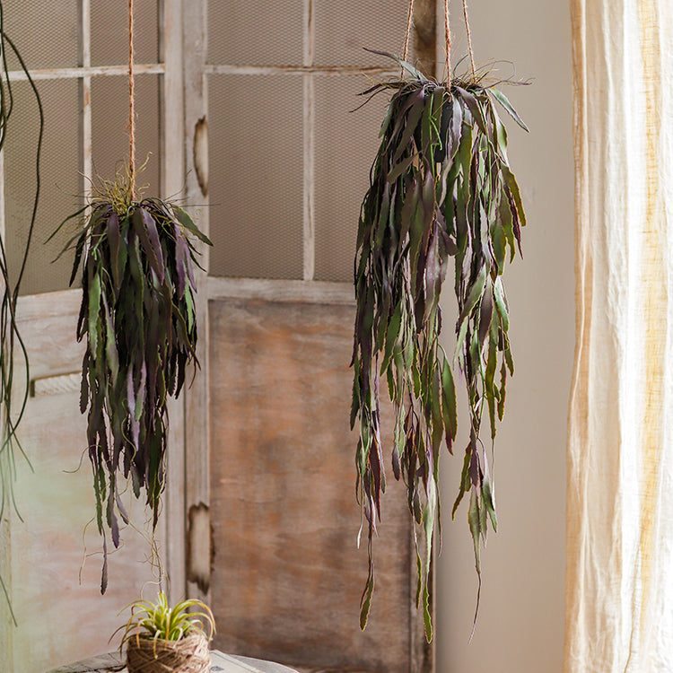 Hanging green and purple plants.