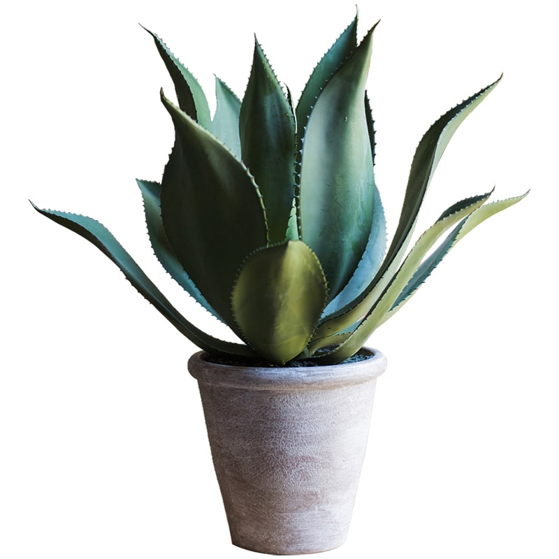 A large, realistic artificial agave plant in a gray pot, measuring 22.8 inches tall, showcasing vibrant green leaves.