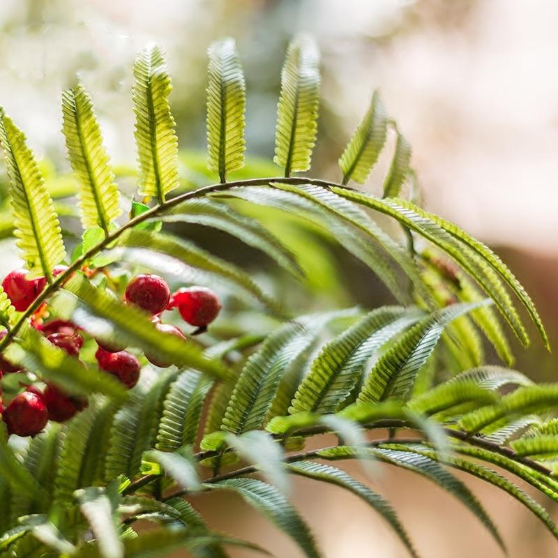 22-inch tall Artificial Faux Plant Chain Fern Stem with realistic green leaves, perfect for home decor.