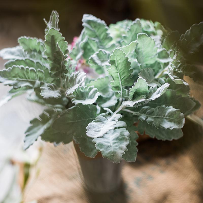 A collection of Artificial Faux Plant Wild Leaf Stems in varying heights, showcasing realistic green and gray silk leaves.