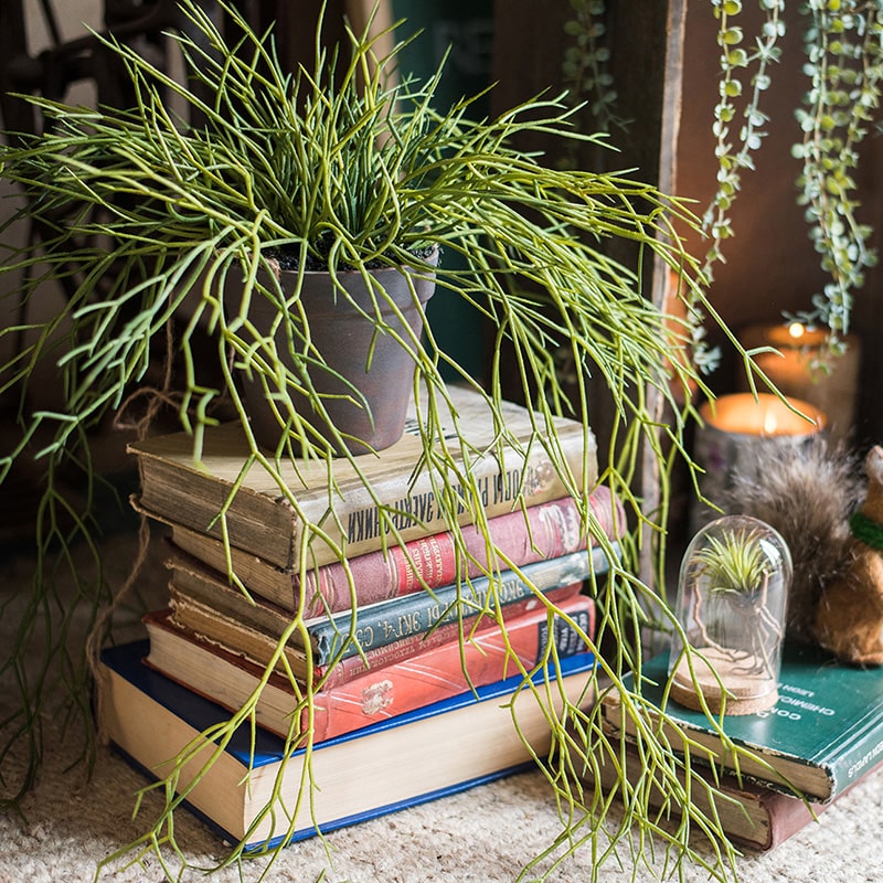 A 22-inch long Artificial Faux Usnea Vine Stem with realistic green tendrils, perfect for hanging planters and home decor.