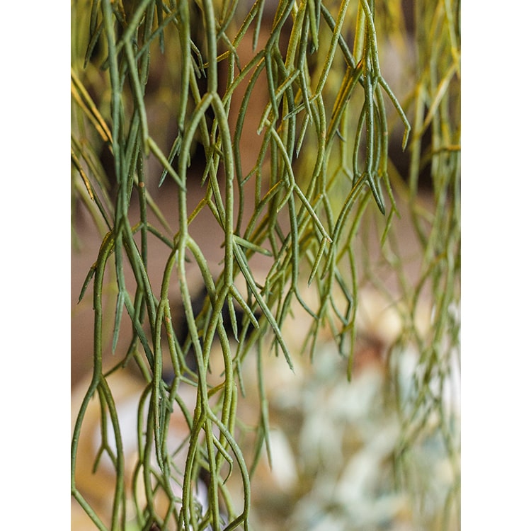 A 22-inch long Artificial Faux Usnea Vine Stem with realistic green tendrils, perfect for hanging planters and home decor.