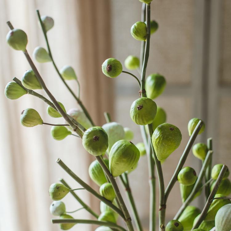 30-inch tall artificial fig fruit stem with 10 realistic figs, featuring a frosted green color, perfect for home decor.