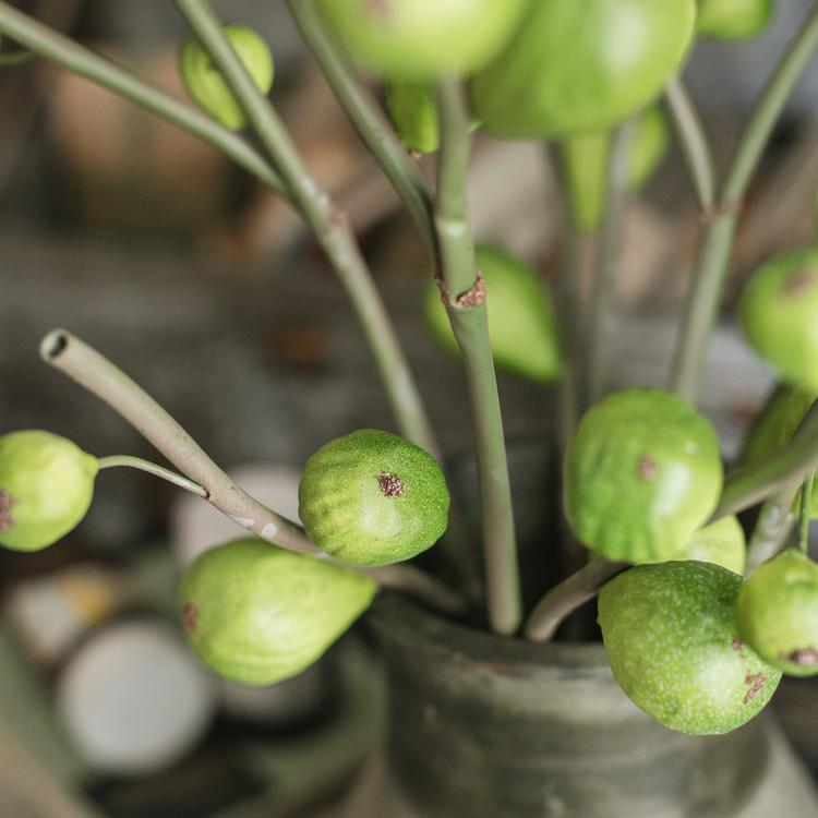 30-inch tall artificial fig fruit stem with 10 realistic figs, featuring a frosted green color, perfect for home decor.