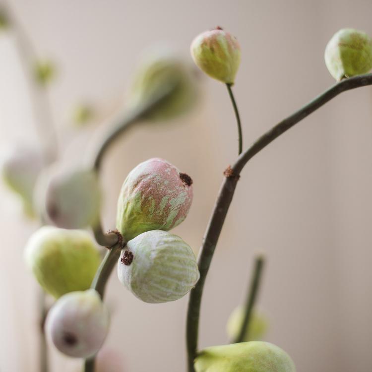 30-inch tall artificial fig fruit stem with 10 realistic figs, featuring a frosted green color, perfect for home decor.