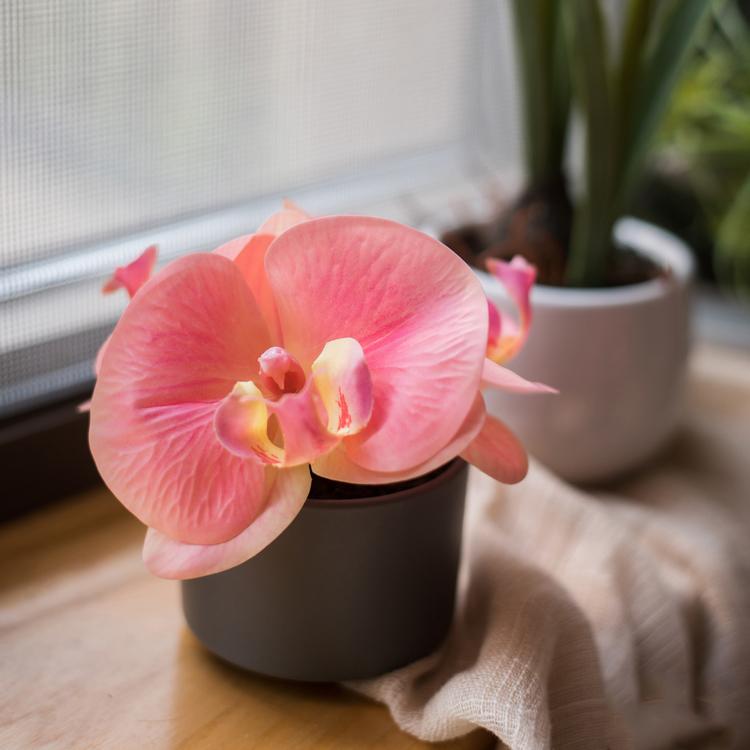 Artificial Flower Mini Real Touch Orchid in Peach Pink, showcasing vibrant petals and realistic leaves in a ceramic vase.