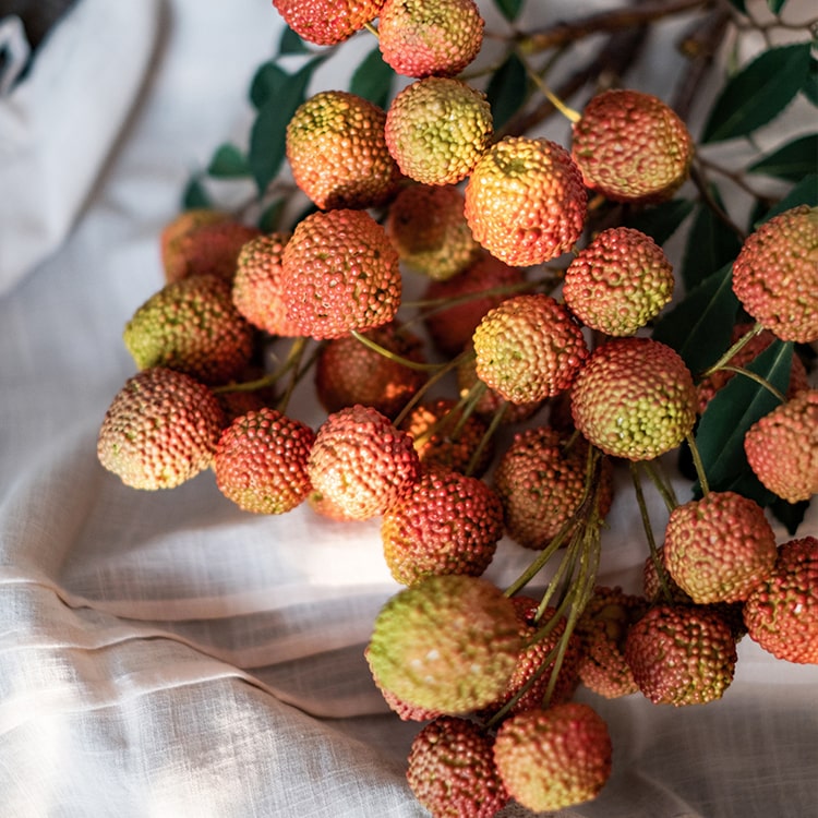 A 27-inch tall artificial lychee stem silk plant featuring vibrant yellow and red colors, designed for home and office decor.