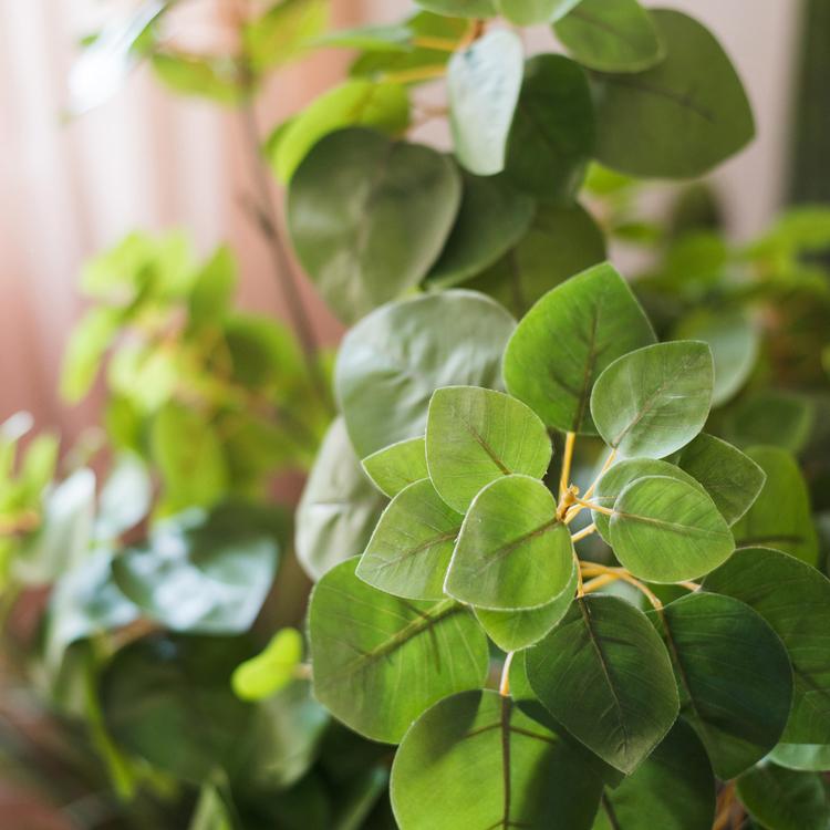 34-inch tall artificial Bauhinia leaf plant in vibrant green, showcasing realistic details and texture, perfect for home or office decor.