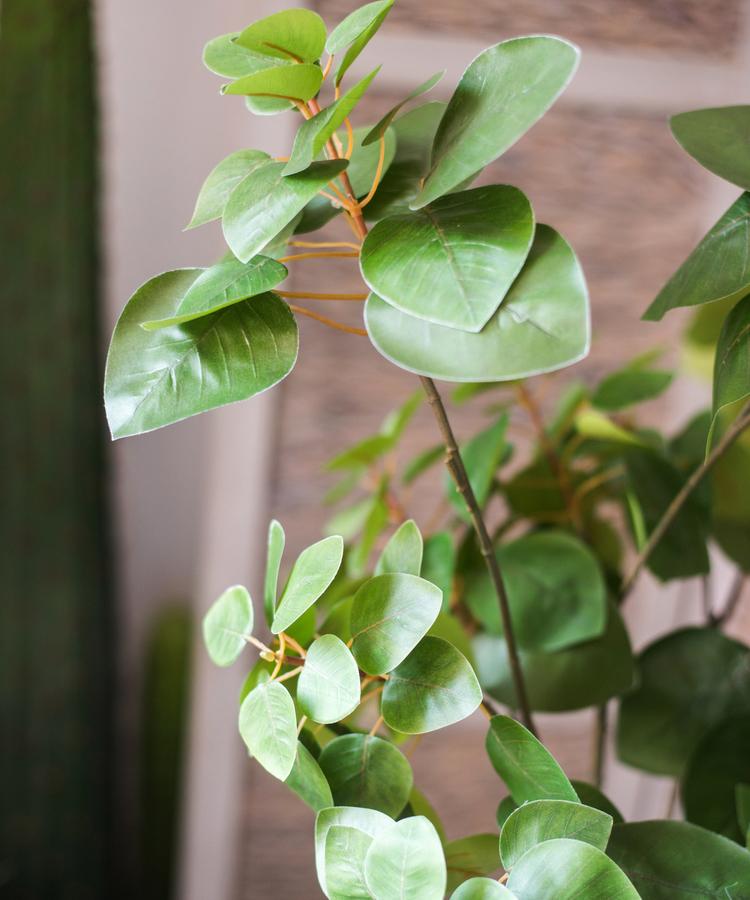 34-inch tall artificial Bauhinia leaf plant in vibrant green, showcasing realistic details and texture, perfect for home or office decor.