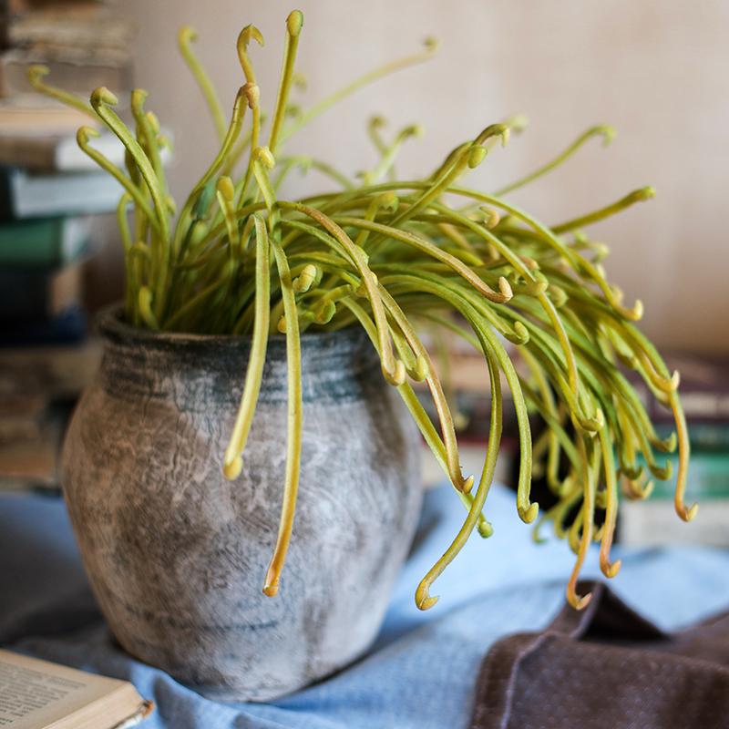 A 12-inch tall artificial Sarracenia plant with vibrant green leaves, showcasing its realistic design and handmade craftsmanship.