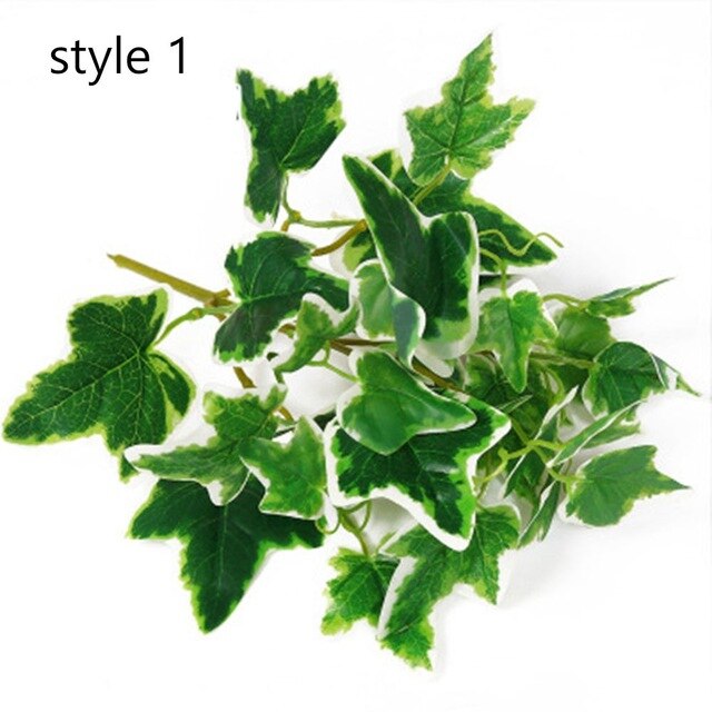 Green ivy leaves on white background.