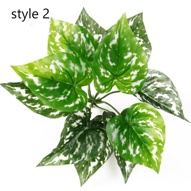 Green leafy plant with variegation.