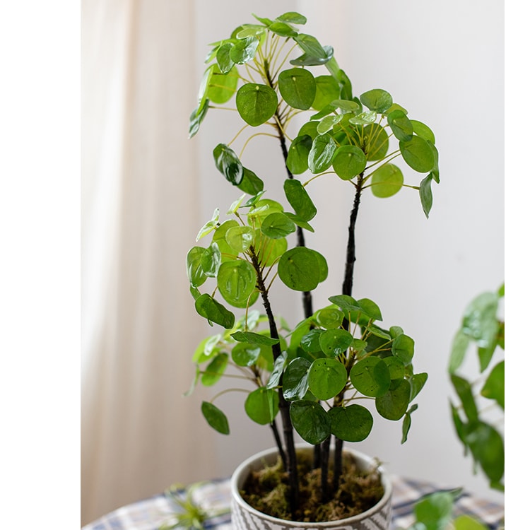 A 26-inch tall artificial potted Pilea plant with lush green leaves in a black pot, perfect for home or office decor.