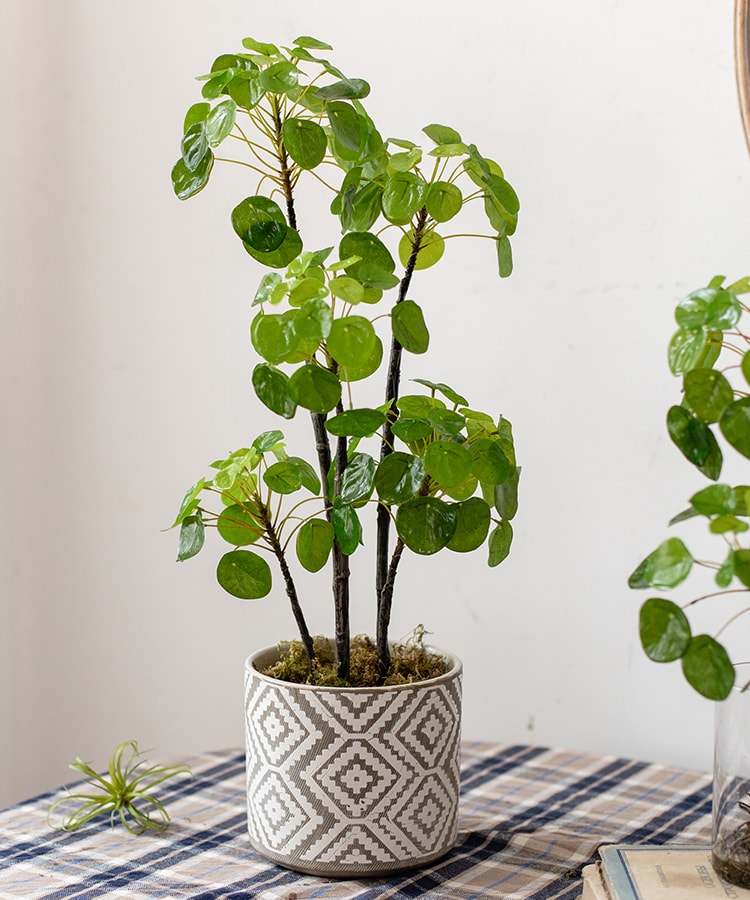 A 26-inch tall artificial potted Pilea plant with lush green leaves in a black pot, perfect for home or office decor.