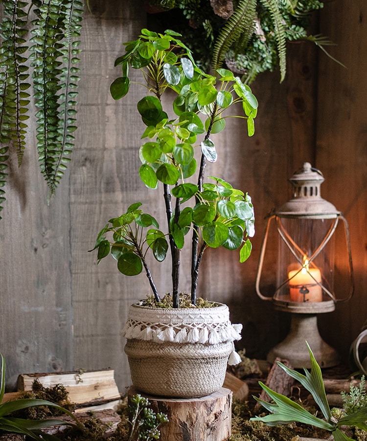 A 26-inch tall artificial potted Pilea plant with lush green leaves in a black pot, perfect for home or office decor.