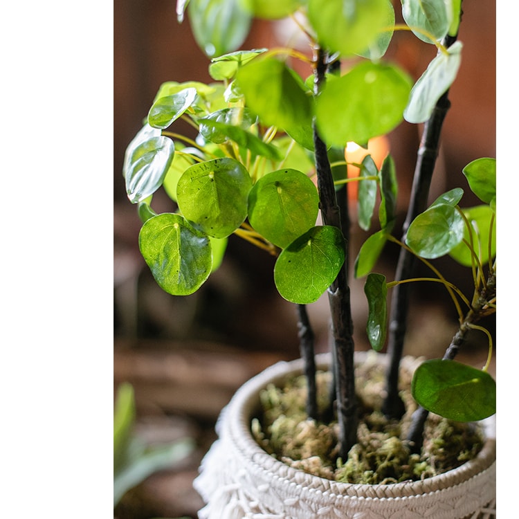 A 26-inch tall artificial potted Pilea plant with lush green leaves in a black pot, perfect for home or office decor.